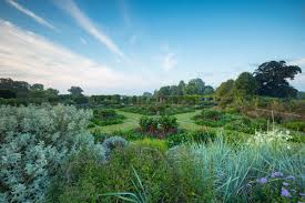 What kind of flowers grew in miss mary's garden. Lutyens And Jekyll The Perfect Partnership Of Garden Design And Architecture Hestercombe House Gardens Google Arts Culture