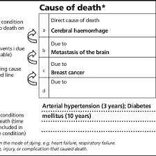 General instructions for completing death certificates. An Example Of The Formation Of A Death Certificate According To World Download Scientific Diagram