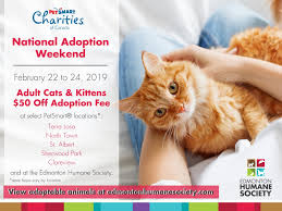 Cats at nine lives cat cafe have a different adoption process. Petsmart National Adoption Weekend Edmonton Humane Society