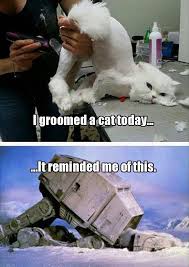 Funny Pictures Of The Day 42 Pics Funny Pictures Star Wars Humor Star Wars Jokes