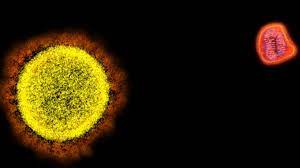 Warum Corona Im Vergleich Mit Der Grippe Gefahrlicher Ist