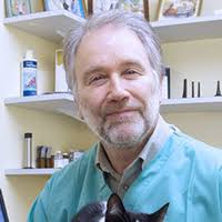 Symptoms of stomach cancer in dogs usually develop gradually over weeks or months, with vomiting being the most common. Dog Skin Cancer Types Symptoms And Treatment My Family Vets