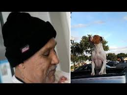 Man Gives Heart Wrenching Goodbye to Pit Bull but Vows to Return, Sweetest  Reunion Ever