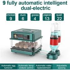 Incubadora automática de huevos, con monitor de humedad, volteo automático  de huevos, adición automática de agua e iluminación de huevos, para incubar  pollos, patos y codornices (12 huevos)