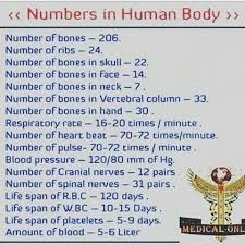 S In Human Body Medical Studies Nursing School Notes Medical Facts