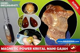 Mar 27, 2019 · cara mengaktifkan batu mani gajah. Aura Pesona Kristal Mani Gajah Love Magnetic Power Activation