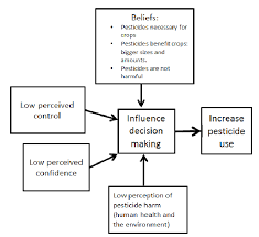 The threat posed to crop production by plant pests and diseases is one the key factors that could lead to a perfect storm that threatens to destabilise global food security. Conceptual Model Of The Decision Making Process Of Pesticide Use Download Scientific Diagram