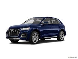 Image result for Navarra Blue 2024 Audi