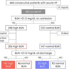 Patient Flow Chart Bun Blood Urea Nitrogen Hf Heart