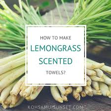Put all of your essential oils into the small bottle. Lemongrass Towels How To Make Thai Lemongrass Towels Lemon Grass How To Make Lemongrass Essential Oil