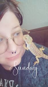 New bearded dragon owner seeking advice
