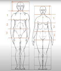 Как рисовать человека? Анатомия: так ли сильно нужно знать ее художнику |  ASTER - Ремонт квартир Казань | Дзен