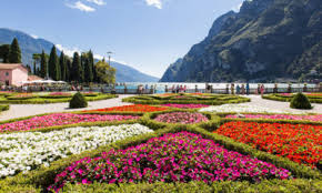 Découvrez les promotions de la semaine et offres exclusives. P9une1colnvpnm