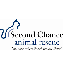Littleton, nh 03561 from business: Companion Pet Care Of Littleton Home Facebook