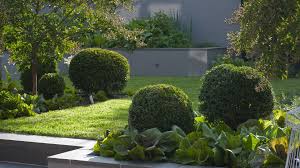 Jack S Garden Landscape Design By Lisa Ellis Gardens Gardendesign Landscapedesign Gard Australian Garden Design Garden Landscape Design Garden Plants Design