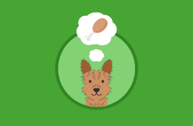 To treat canine grape toxicity, your veterinarian will induce vomiting to remove the grapes from your dog's system. Puppy Dog Care Advice Welfare Dogbuddy Blog