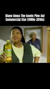 Iconic Pine-Sol spokesperson Diane Amos, famous since ... - YouTube