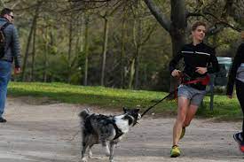 Quelle est la durée de l'activité physique en plein air ? Quelles Sont Les Regles Pour Faire Du Sport Pendant Le Confinement L Equipe