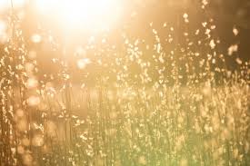 Die sommersonnenwende heute am 20. Rituale Zur Sommersonnenwende Frau Achtsamkeit Der Achtsamkeitsblog