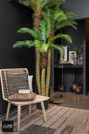 Raw Ethnic Panosundaki Pin