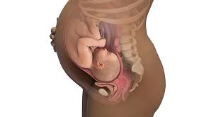 Ssw 40 Sie Sind 40 Wochen Schwanger Babycenter