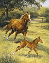 Bir Varmis Bir Yokmus Evvel Zaman Icinde Bir Anne At Birde Yavru At Annenin Yavrusuna Ilk Dersi Horse Artwork Animal Drawings Horse Drawings