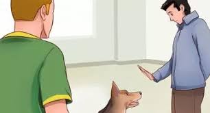 How to train dog to stop barking at strangers. 3 Ways To Stop Your Dog From Barking At Strangers Wikihow