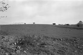 Facebook gives people the power to share and makes the world more open and connected. Mark Steinmetz Carter County Tennessee 2001 Artwork 27427 Jackson Fine Art