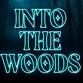 Into the Woods event in Quincy, IL