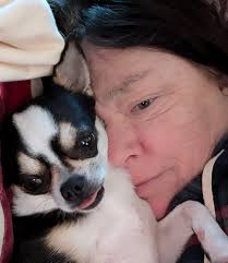 My daughter is taking a Psychology class. Today's class assignment was to  take a banana for a walk in public as if it's a dog, and see how it makes  you feel.