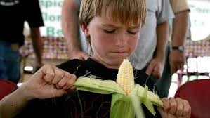 2010 Sweet Corn Fiesta