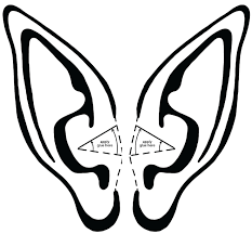 Here you can explore hq elf ears transparent illustrations, icons and clipart with filter setting like size, type, color etc. Christmas Elf Ears Drawing