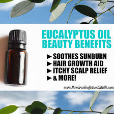 This healing property makes it an effective treatment against some mild cases of scalp pimples. Benefits Of Eucalyptus Oil For Hair Skin More The Miracle Of Essential Oils