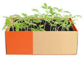 The plant is always going to be the star, but. Make Your Own Plant Pot Giveitagrow Giveitagrow