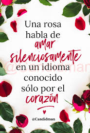 Una Rosa Habla De Amar Silenciosamente En Un Idioma Conocido Solo Por El Corazon Candidman Candidman Mensajes De Amor Te Amo