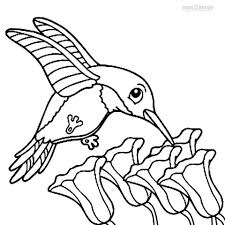 Also, once you've completed these hummingbird coloring pages please share your creations on our facebook page for us to see! Get This Printable Hummingbird Coloring Pages 58425