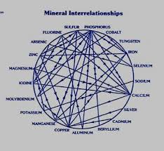 Mulders Chart And Soil Nutrient Interaction Thcfarmer