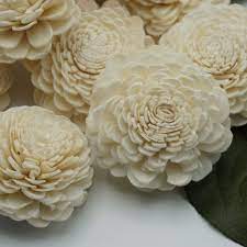 Check spelling or type a new query. Marigold Bulk Wholesale 100 Pack Sola Wood Flowers Oh You Re Lovely