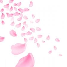 Modern Simple Fresh Peach Reflection Background Flower Png Images Flower Clipart Pink Petals