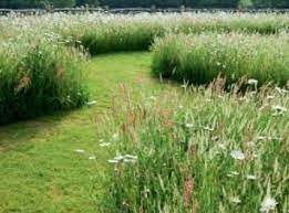 Pin On Garden Stone Mosaics Paths