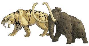 Check spelling or type a new query. What Are Extinct Animals Answered Twinkl Parenting Wiki