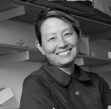 Monday, March 3 @ 6pm in Burns Auditorium, Kamphoefner Hall Link to  register in bio. Please join the College of Design for the spring 2025  architecture lecture series. Yutaka Sho is a