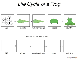Pin By Kim Moore On Science Activities Kindergarten Worksheets Science Kindergarten Worksheets Kindergarten Printables Activities