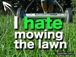 Mowing Lawn Treatment Lawn Mower