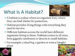 Protection takes two main forms: What Is Habitat Know It Info