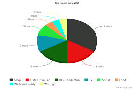 I Made A Pie Chart Of My Daily Activities Thought If This