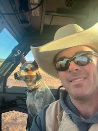 Someone is afraid of cows