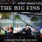 The Big Fins event image