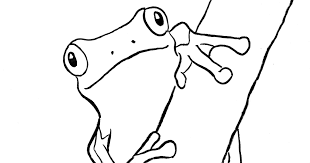 Frog coloring sheet from print & download frog coloring pages theme for kids. Tree Frog Coloring Page Art Starts