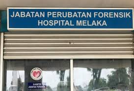 Mengintip ide nama bayi perempuan jepang. Didera Archives Malaysiagazette